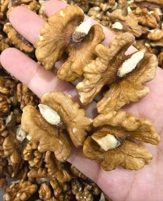 Noix et cerveau : pourquoi ce fruit à coque est votre meilleure alliée cognitive
