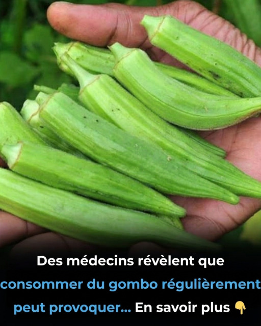 Okra : les bienfaits surprenants de ce légume que les médecins recommandent vraiment