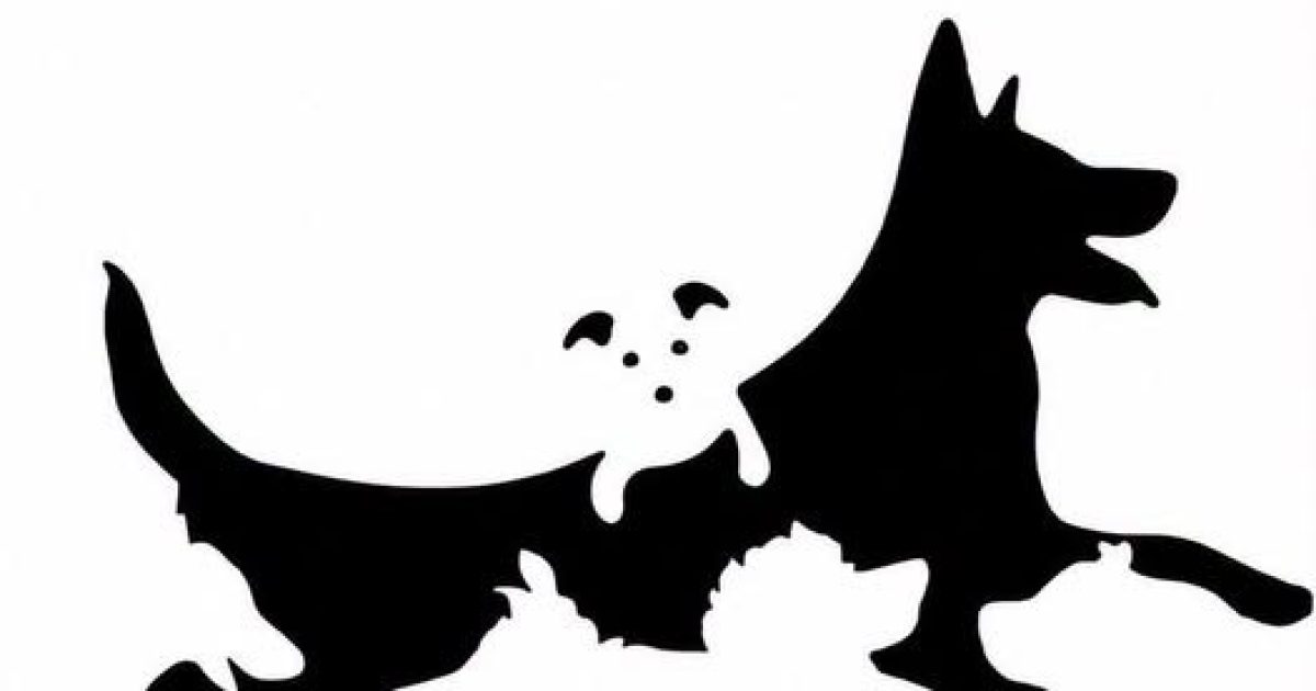 Ce test visuel des chiens cachés révèle votre véritable âge mental