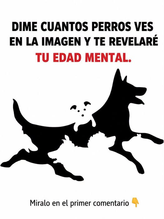 Ce test visuel des chiens cachés révèle votre véritable âge mental