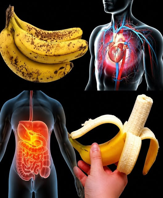 Banane : pourquoi ce fruit si ordinaire est en réalité un trésor pour votre santé