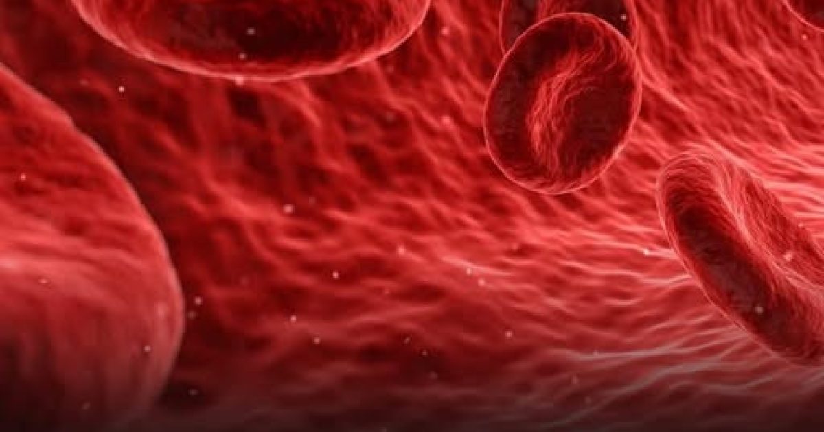 Groupe sanguin et vieillissement : ce que la science vient de découvrir va vous surprendre