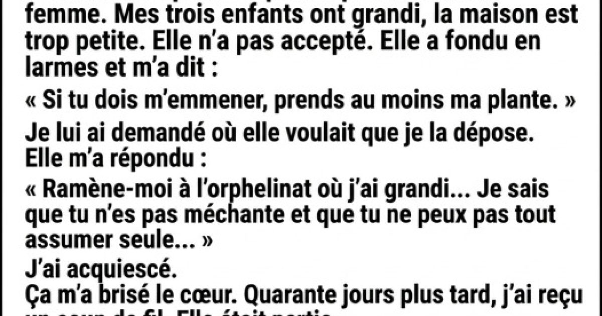Il place sa mère en maison de retraite : après sa mort, une plante en pot révèle un secret qui le dévaste