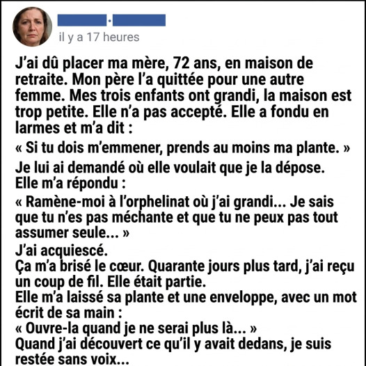 Il place sa mère en maison de retraite : après sa mort, une plante en pot révèle un secret qui le dévaste