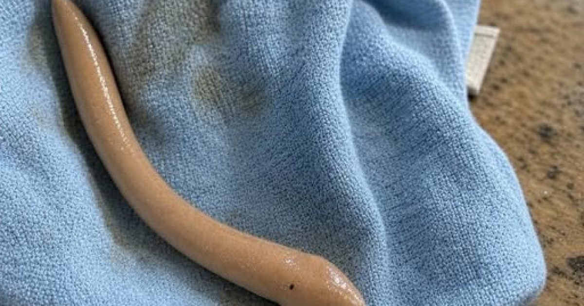 Elle trouve quelque chose d'étrange sur le carrelage de sa salle de bain : la vérité la laisse sans voix