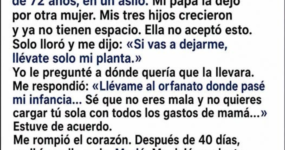 Il met sa mère en maison de retraite : après sa mort, une plante cachait un secret qui l'a brisé