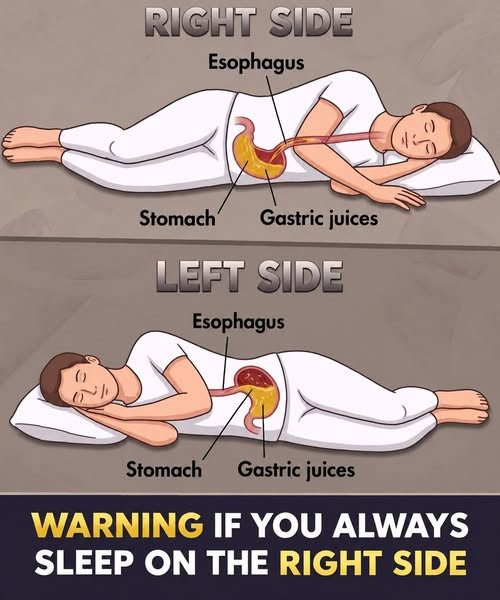 Position de sommeil et digestion : voici pourquoi le côté gauche fait toute la différence