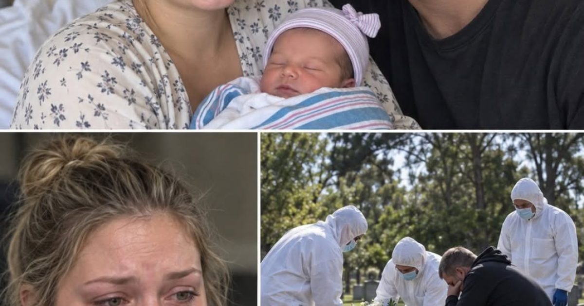 Sécurité bébé à la maison : les dangers cachés et comment les éliminer pièce par pièce