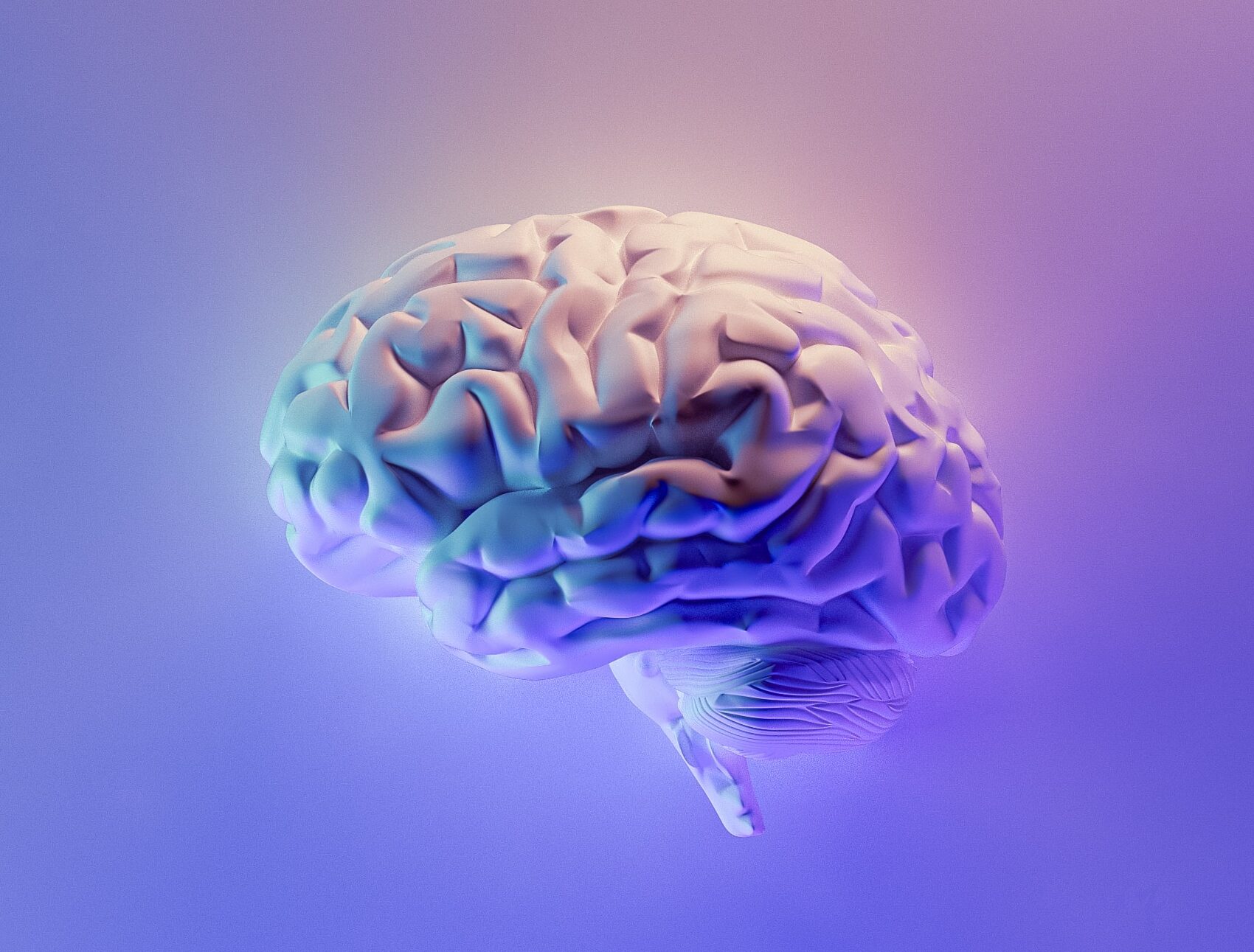 Représentation artistique de connexions neuronales dans le cerveau