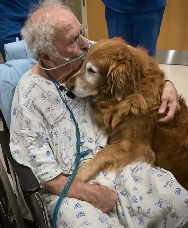 Homme âgé souriant faiblement à son chien dans un lit d'hôpital