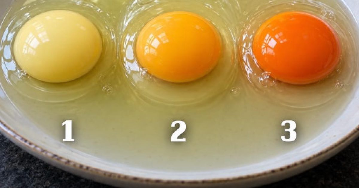 Jaune d'œuf orange ou pâle : ce que la couleur dit vraiment (et ce qu'elle cache)