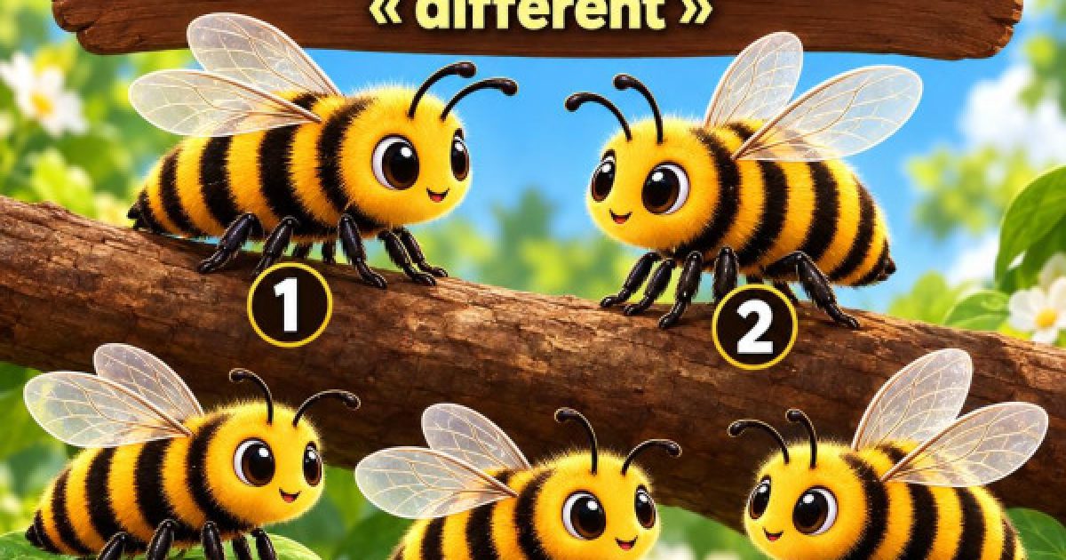 Ce test visuel dévoile votre vraie personnalité selon ce que vous voyez en premier