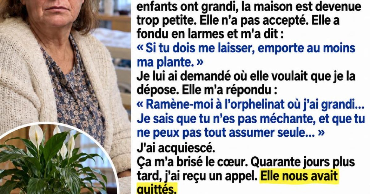 Elle cachait un secret dans un pot de fleurs : ce fils n'aurait jamais imaginé ce qu'il allait découvrir