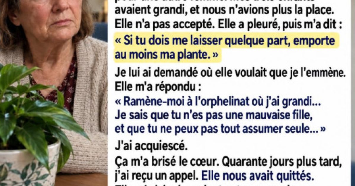 Elle cache un secret dans un pot de fleurs avant de quitter sa maison : son fils le découvre après sa mort