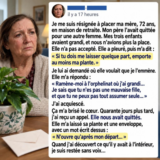 Elle cache un secret dans un pot de fleurs avant de quitter sa maison : son fils le découvre après sa mort