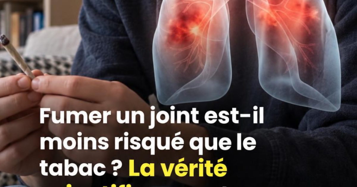 Cannabis et poumons : ce que la science dit vraiment sur les risques pour votre santé