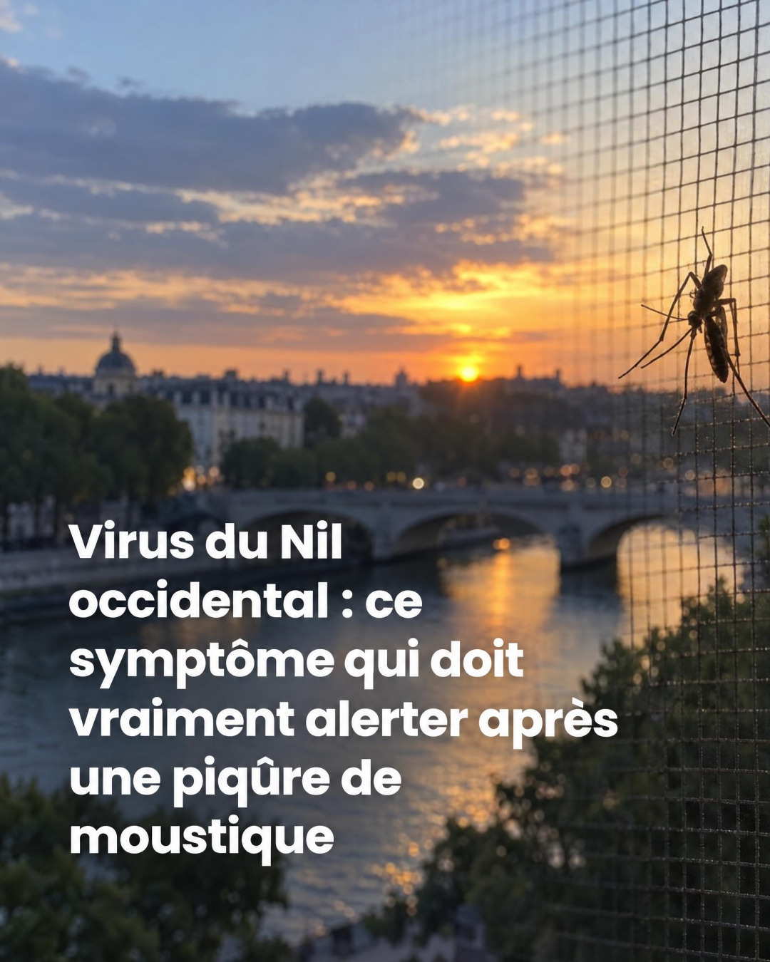 Virus West Nile en France : 117 cas détectés, les symptômes qui doivent vous alerter