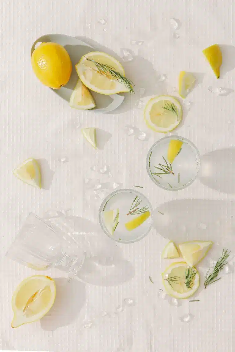 Rondelles de citron frais