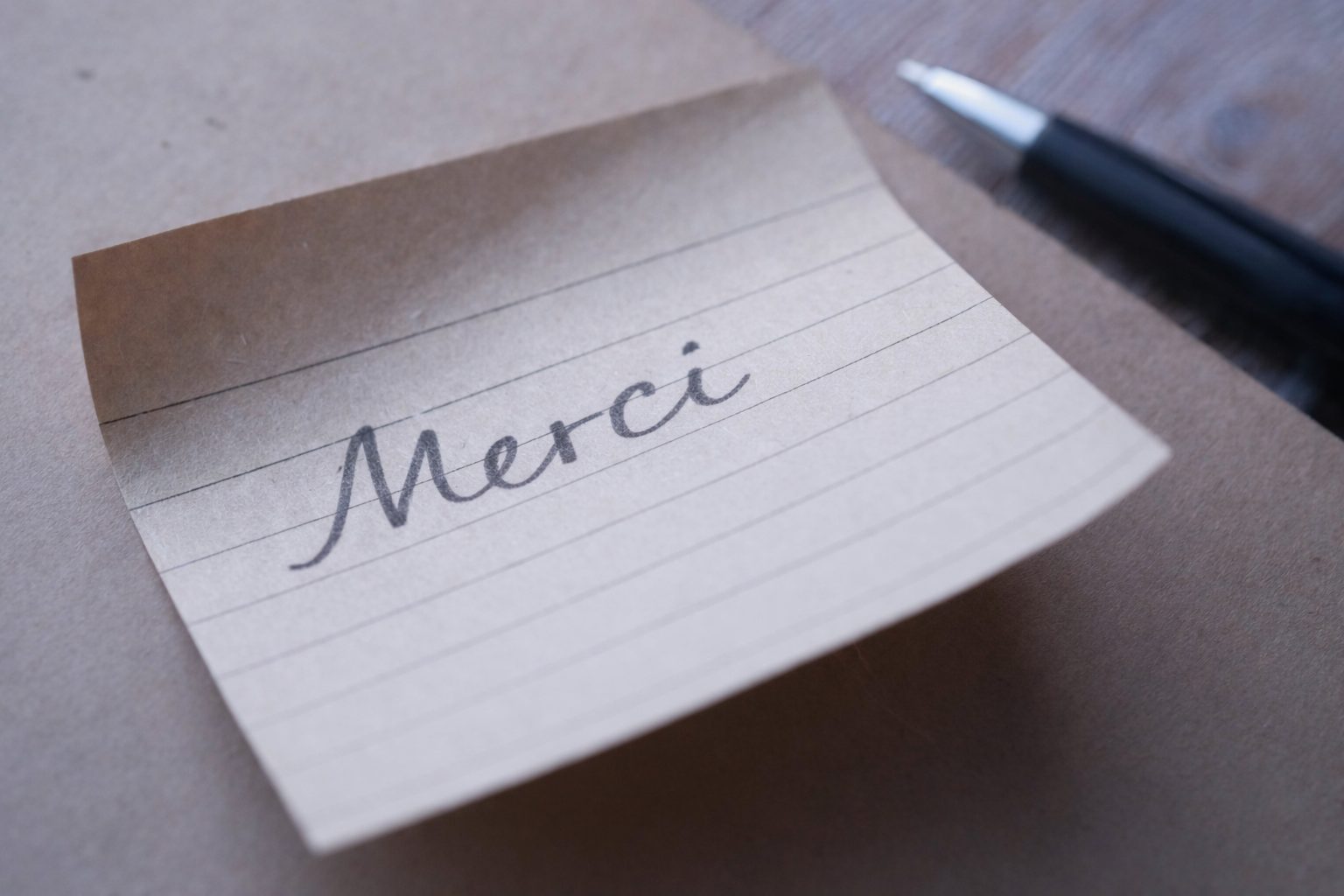 Femme offrant un cadeau ou une fleur à une autre, geste de gratitude