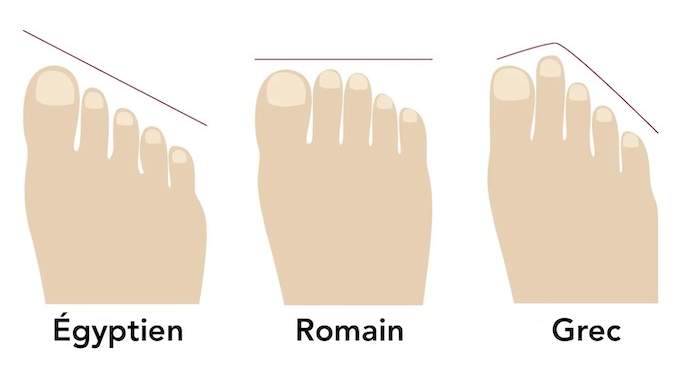 Illustration comparant la forme du pied égyptien et du pied grec
