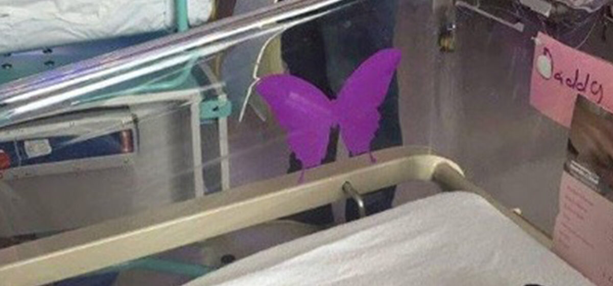 Représentation artistique d'un papillon violet, symbole de mémoire et d'espoir