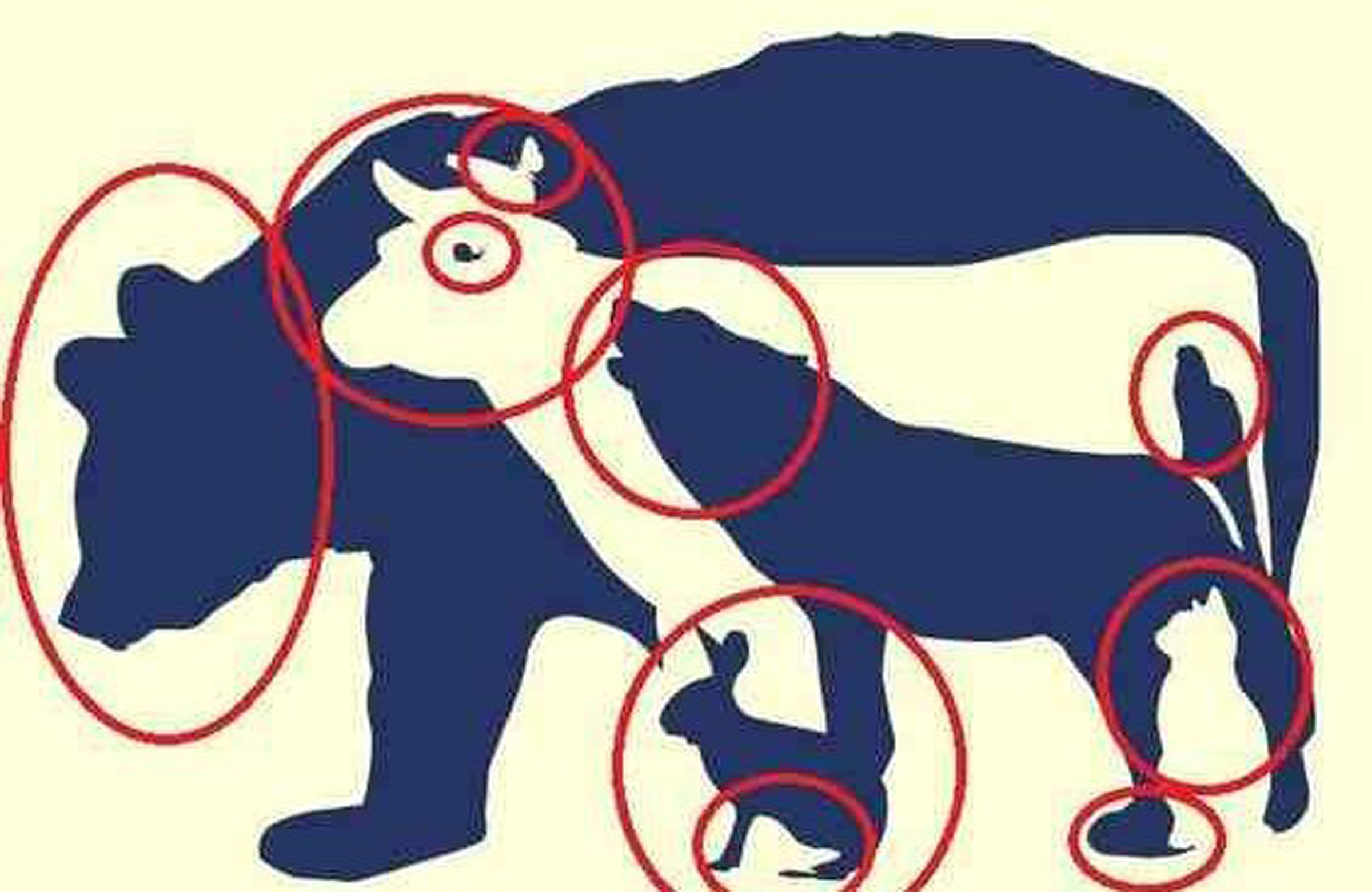 Image de la solution révélant tous les animaux cachés