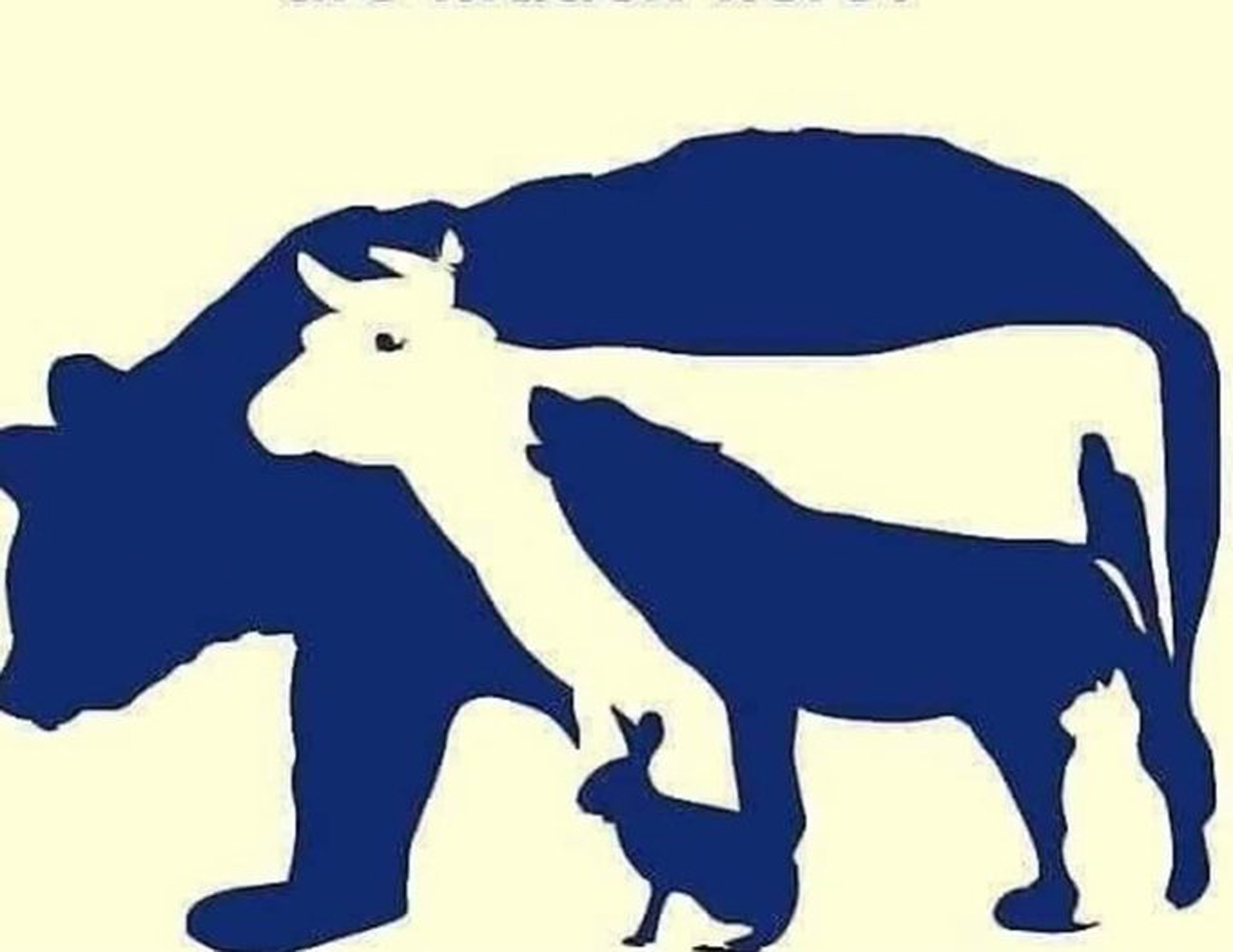 Illustration d'un ours stylisé où sont cachés d'autres animaux