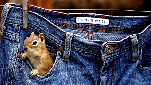 Main glissant une pièce de monnaie dans la petite poche d'un jean