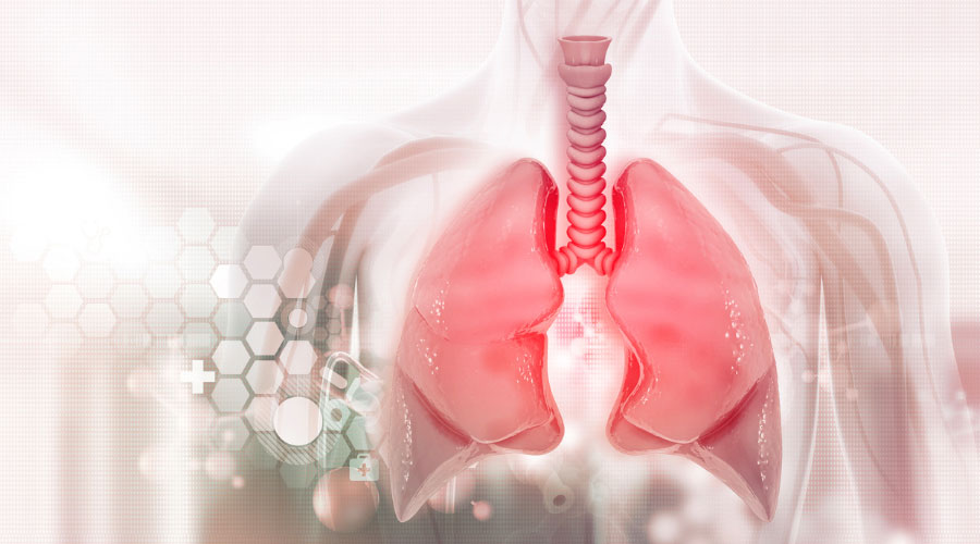60 ans et aucune de ces 5 pathologies au compteur ? Voici pourquoi vous pourriez souffler vos 100 bougies