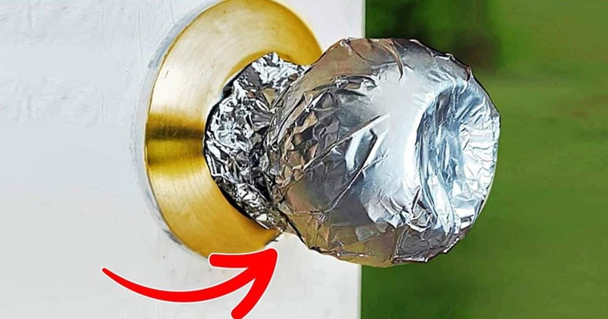 L’aluminium ménager : ces usages méconnus qui changent tout à la maison