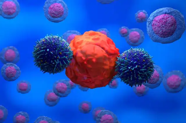 Illustration de cellules immunitaires