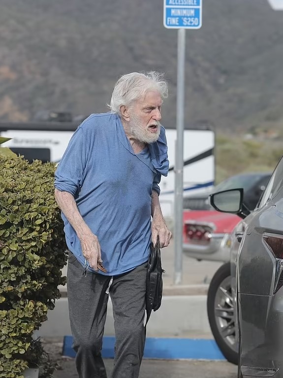 Dick Van Dyke, souriant et alerte, lors d'une apparition récente