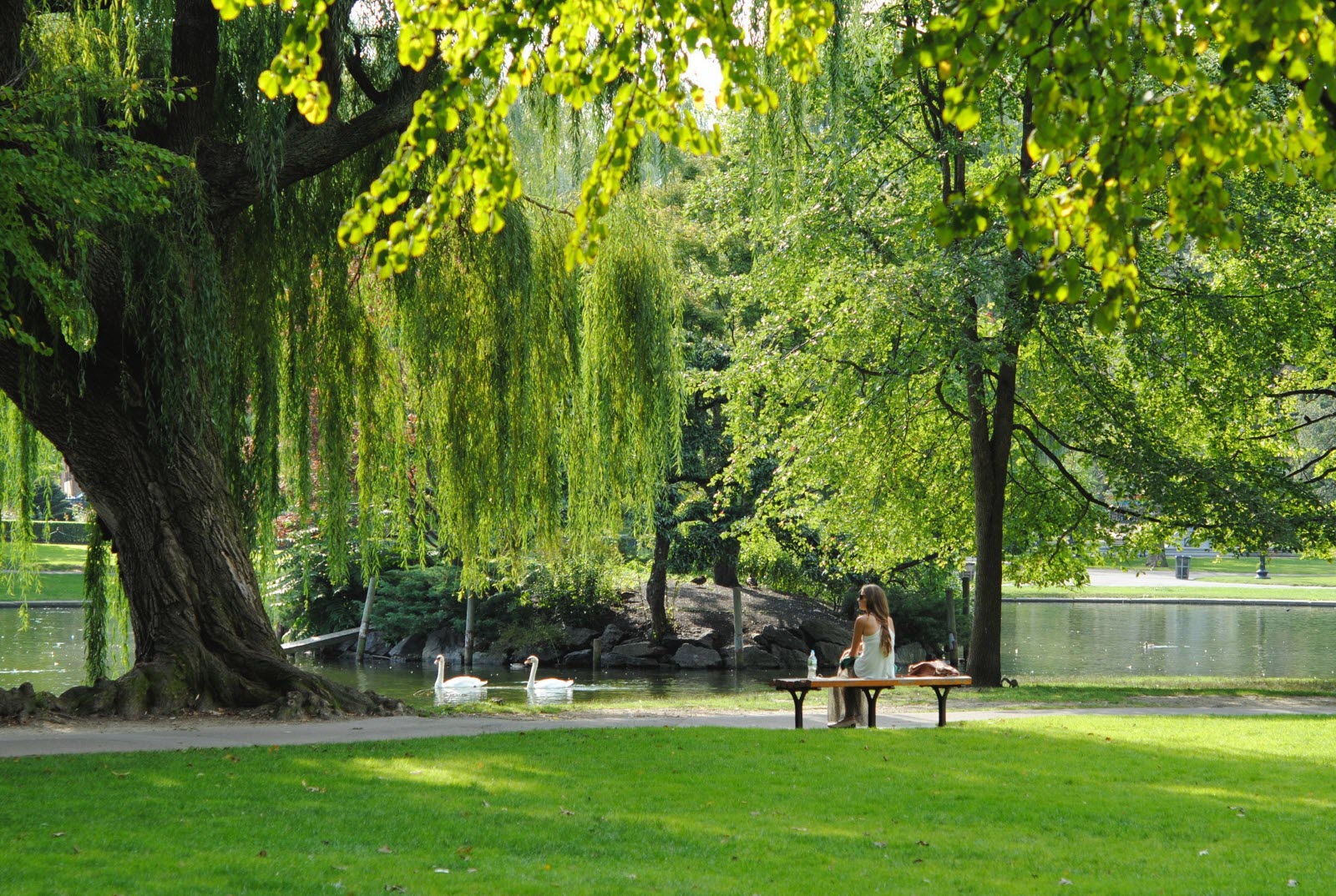 Photo d'un parc public, lieu d'une promenade révélatrice