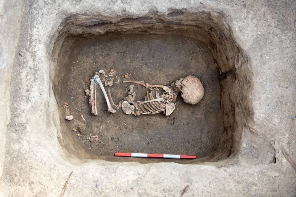 Quand un bambin de 3 ans prétend se souvenir de son propre meurtre dans une existence antérieure et révèle l’emplacement exact de sa dépouille