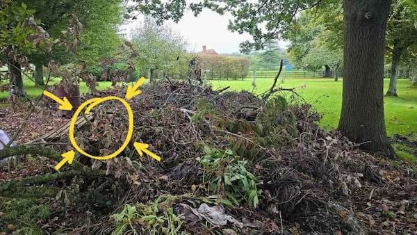 Solution du défi montrant l'emplacement du chien caché