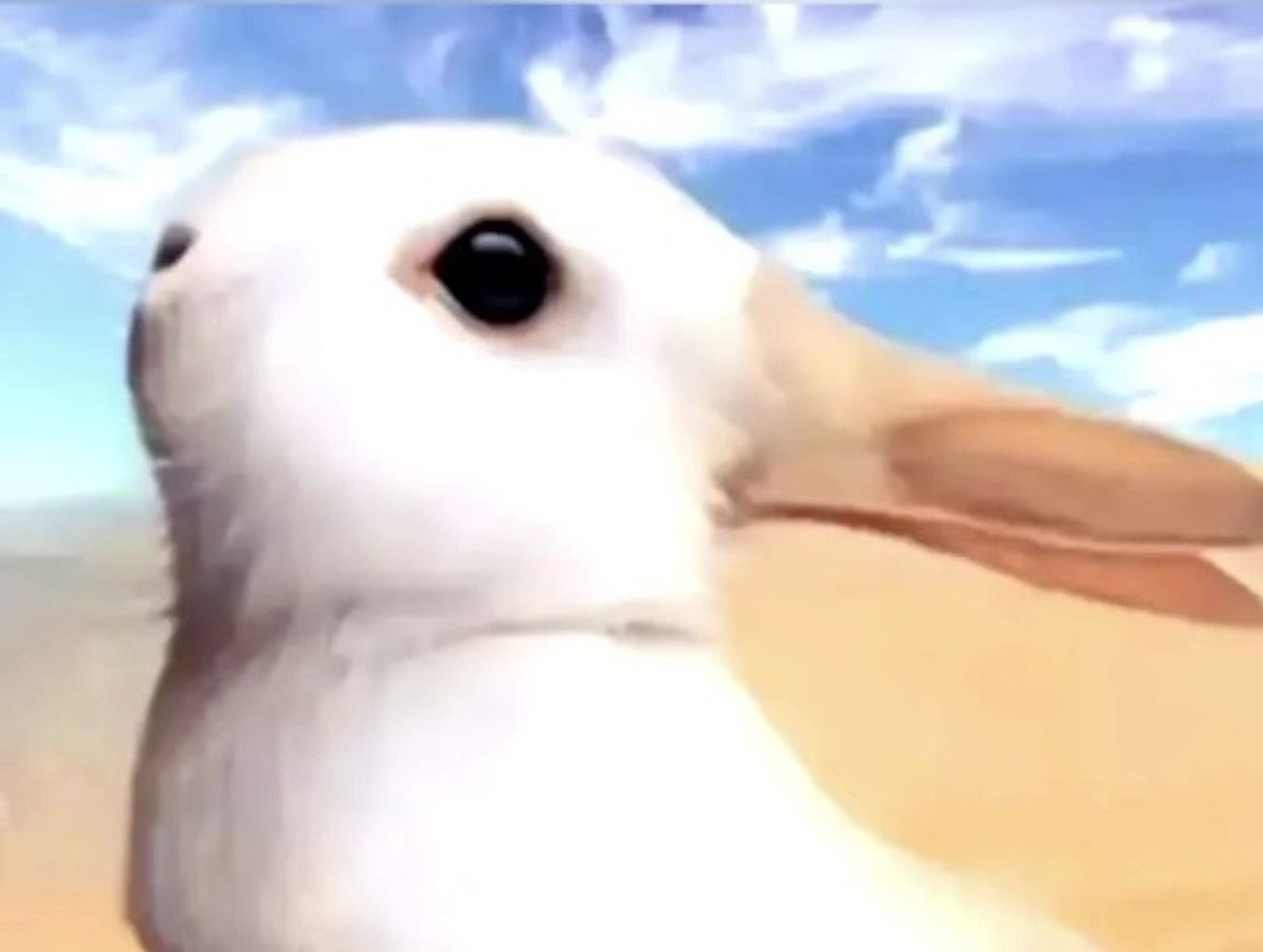 Image artistique d'un lapin