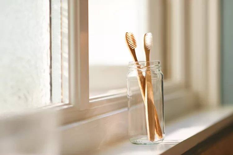 Porte-brosse à dents en verre sortant d'un lave-vaisselle