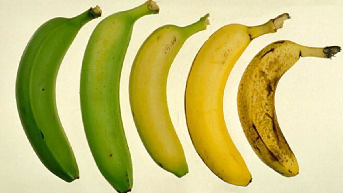 Banane tachetée : ce trésor nutritionnel que vous jetez sans savoir