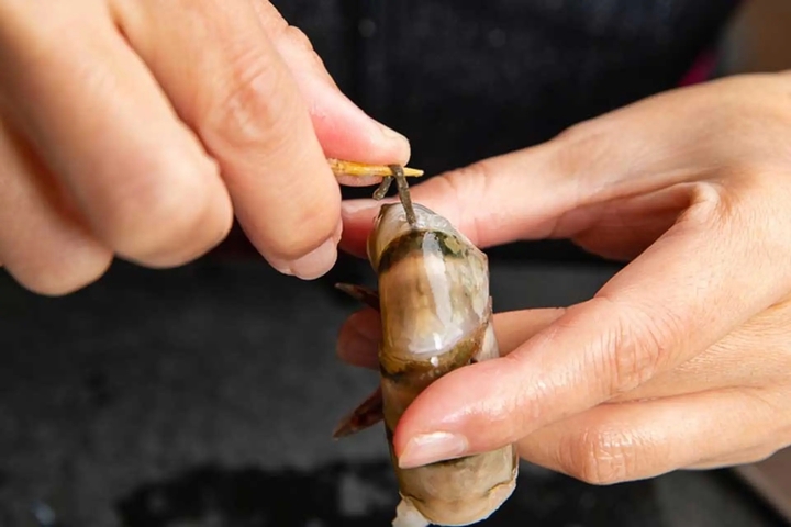 Gros plan sur la ligne digestive d'une crevette