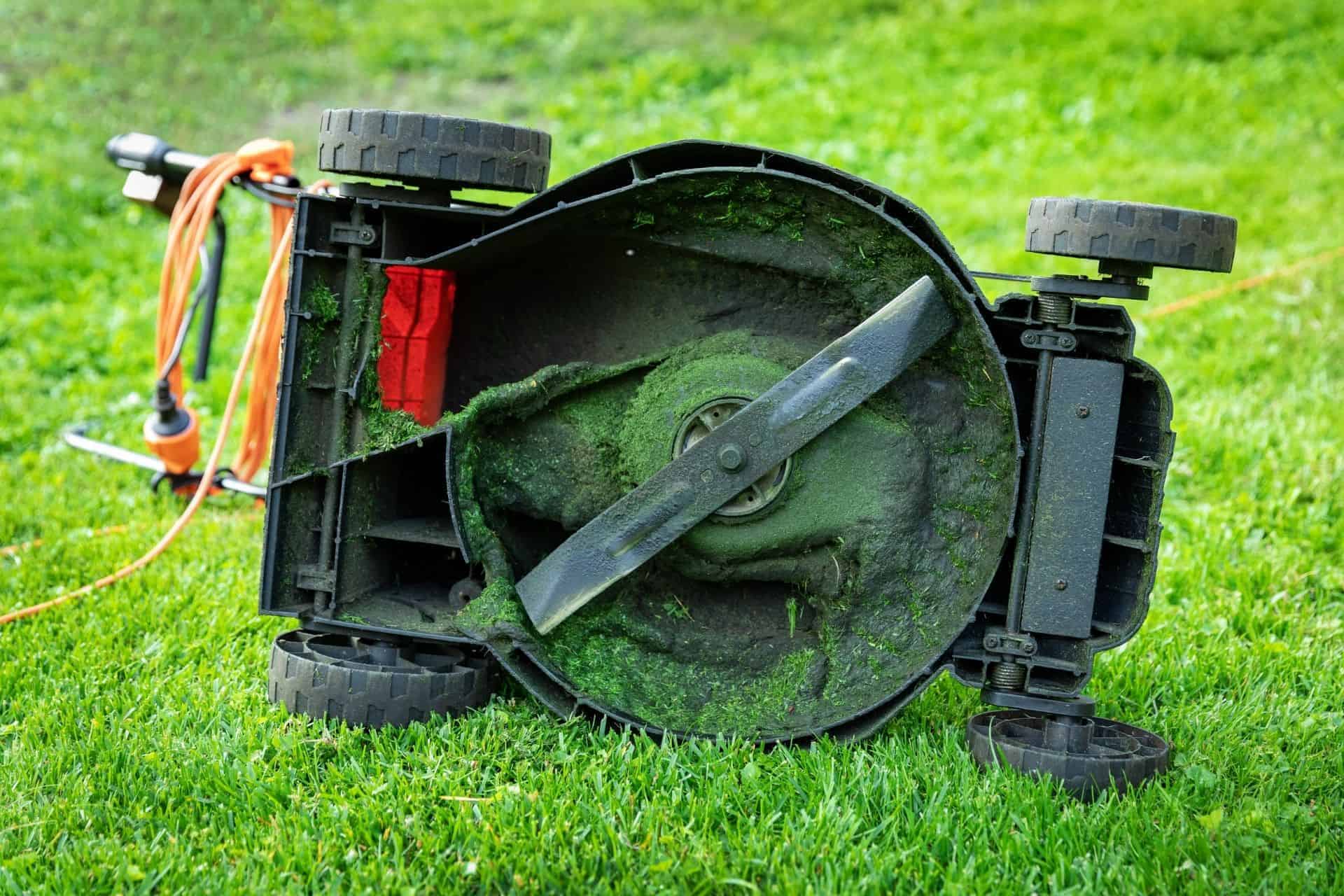 Ton gazon mérite mieux qu’une tondeuse émoussée : voici comment raviver vos lames en 15 minutes