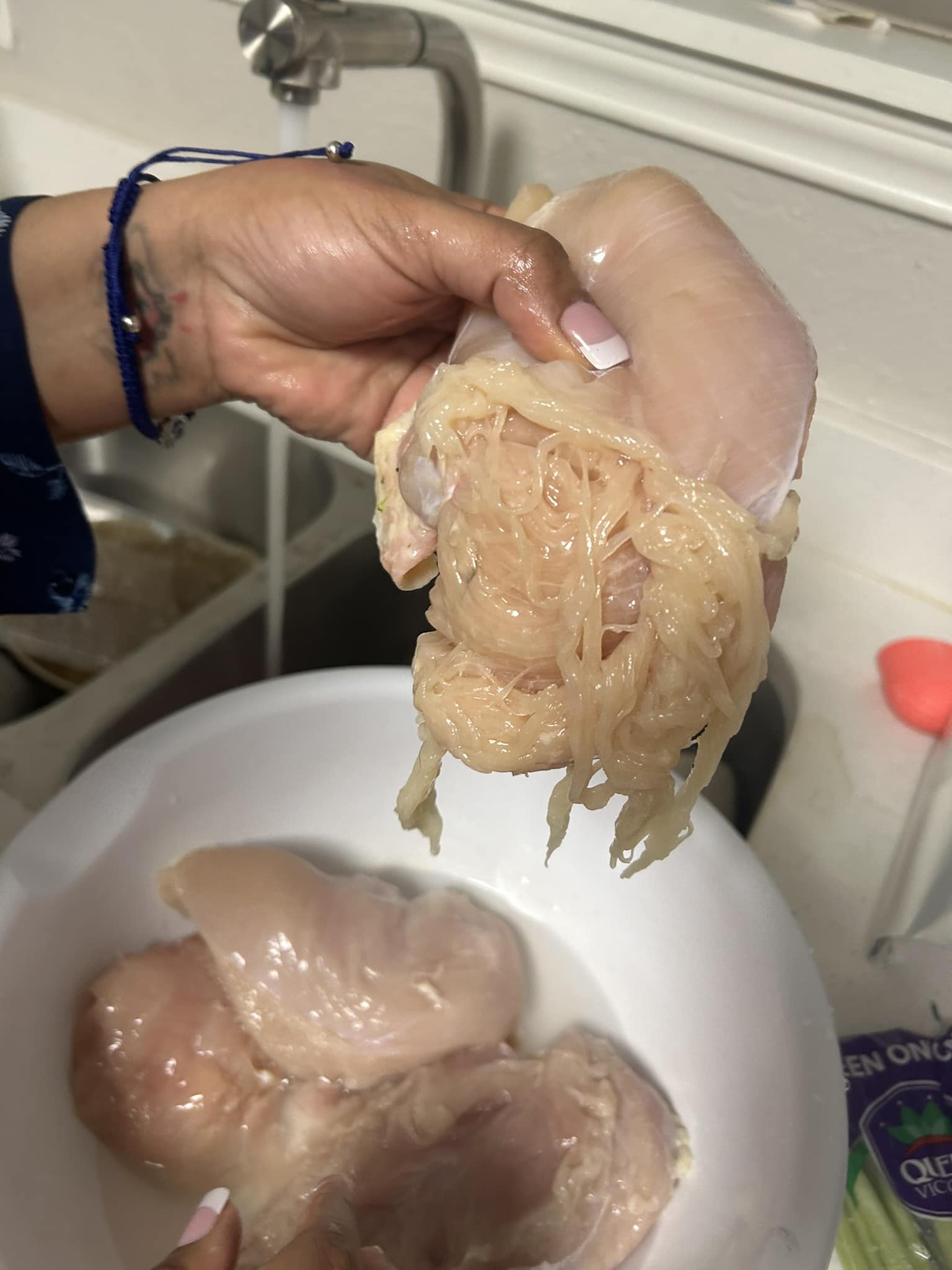 Comparaison de poulets d'élevage moderne et traditionnel