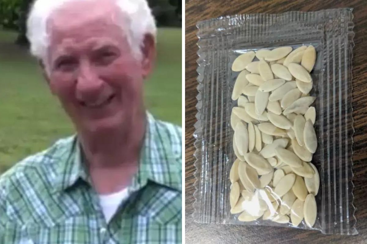 Un homme jardinant avec des graines mystérieuses dans les mains