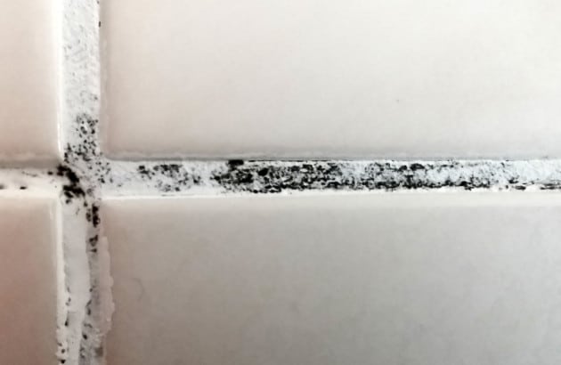 Personne aérant une salle de bain pour éviter l'humidité