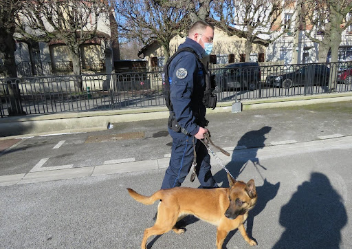 Julien et Nox, duo policier inséparable