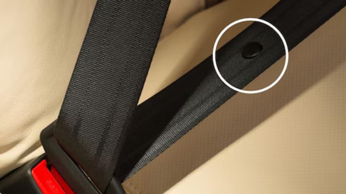 Pourquoi ce minuscule bouton sur votre ceinture de sécurité pourrait bien vous sauver la vie