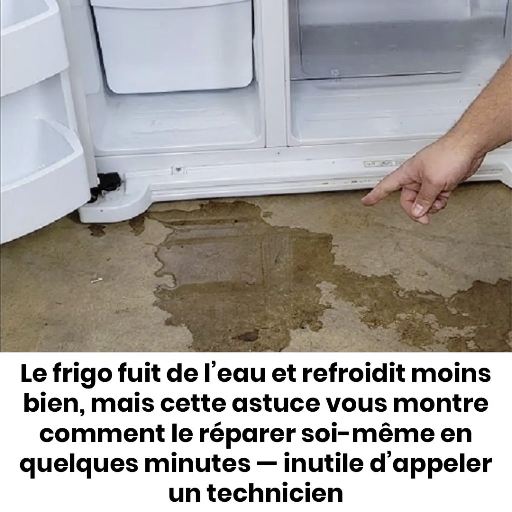 Votre réfrigérateur fuit ? Découvrez nos conseils pratiques pour ...