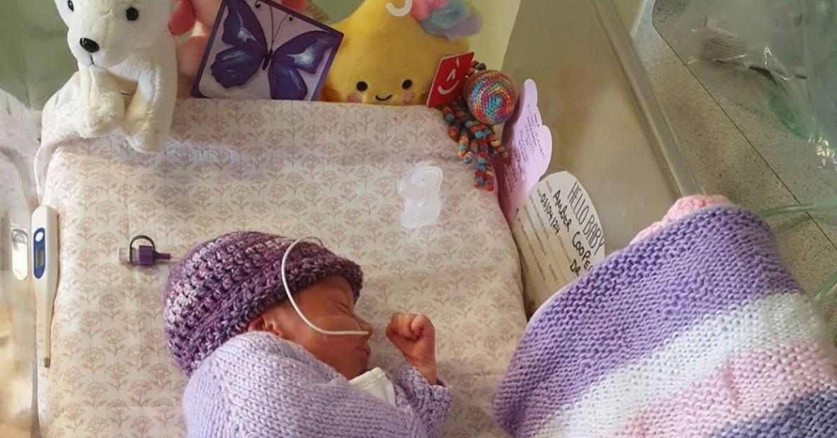 Représentation stylisée d'un autocollant papillon violet sur une couveuse