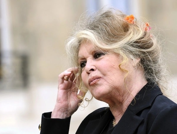Vieillir sans filtre : l’incroyable pari de Brigitte Bardot qui défie les codes de la beauté moderne