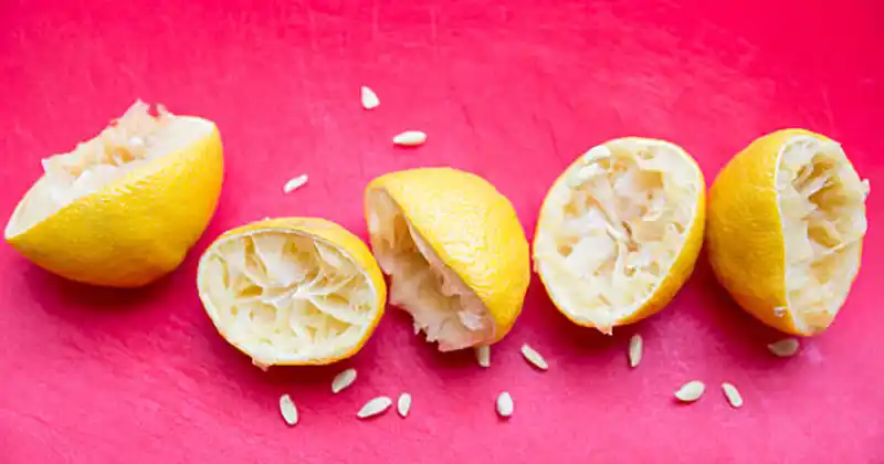 Utilisation des pépins de citron pour enrichir le compost